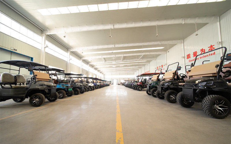 Ace Electric Vehicle Co.,Ltd