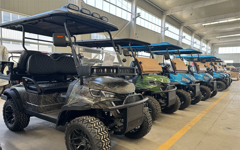 Ace Electric Vehicle Co.,Ltd